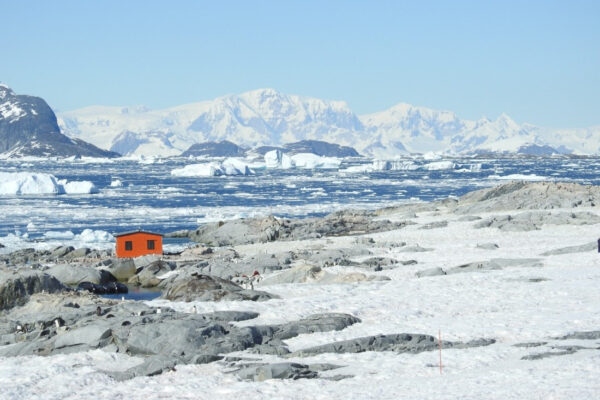 8da854139bc3df2888ef6deda8d6b6e596799a66