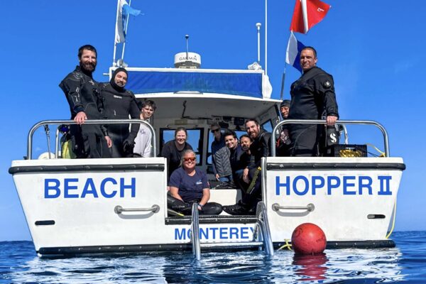 Tri Valley Dive Club pic