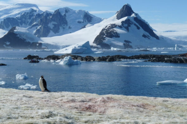 e82ee34823008fd248e56bfb4a692ef43d0d70a3