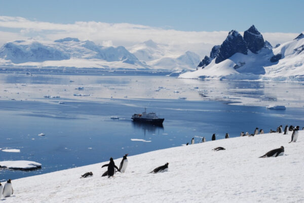 f2340fa8a6c47b6ad98ae8ea398ac62f8397753d