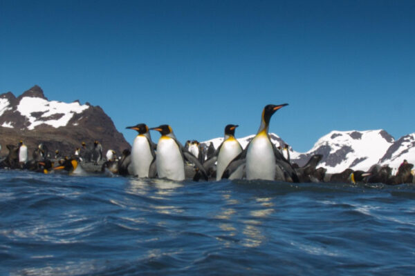 media66b379623be74543049086