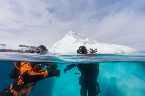 media67d940e94238b913502028